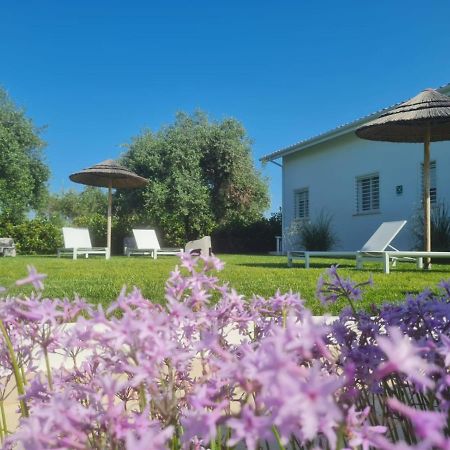 La Maison - Boutique Rooms Сперлонга Екстер'єр фото